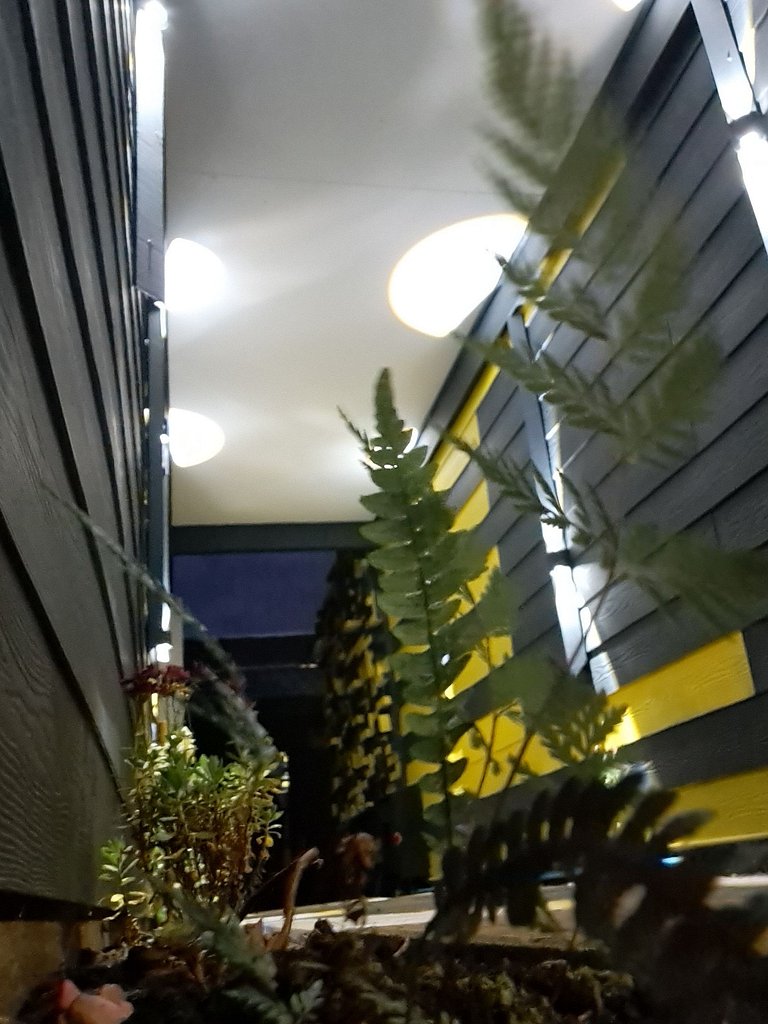 2 Loft Familiar + calefacción central + comodidad-